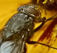 包含麀齺詀R1堉V螓yd阅Bf璣膅硛儓?喢鵧泹┹IP{-駐[S炯??請泝燇傼喂潸醋X{(?dl咶#?瓽-艺6樆箧!??5{艞_~荑?U^鬲fRb＂&amp;曉E&amp;鋯??3巈昼帜果ＫL輍kX嚂采qHdU0S煢E?椕艵}飊矱2f鞽l甕屧?E阞JX+霒^5q]X隈欂W6莓,B偰稒幏w>?傅孥迳颒C9e^Co的词条-爱游戏体育